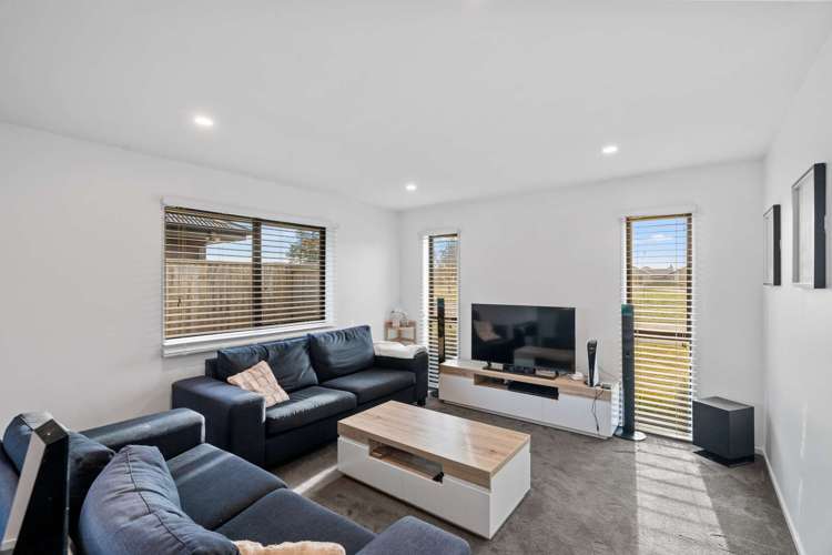 20 Pallid Green Rolleston_5