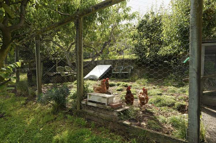 29 View Mount Stoke_19