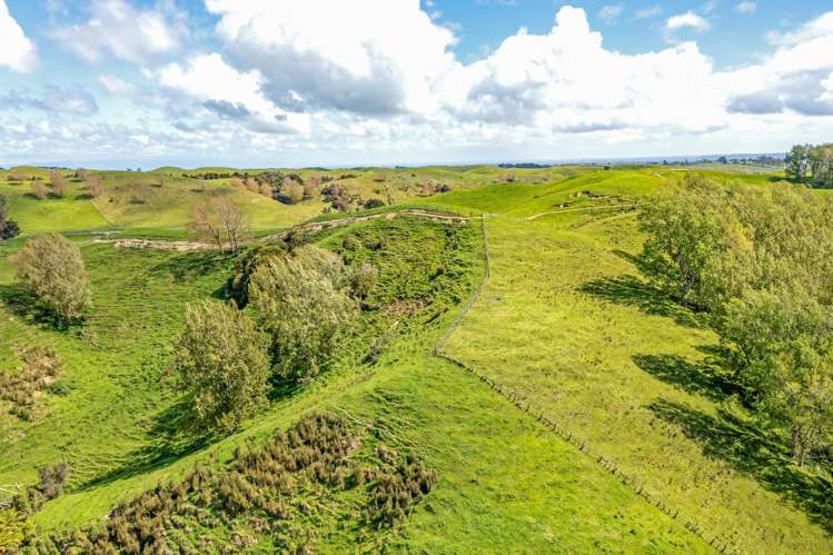 475 Pollock Road Pohangina_8