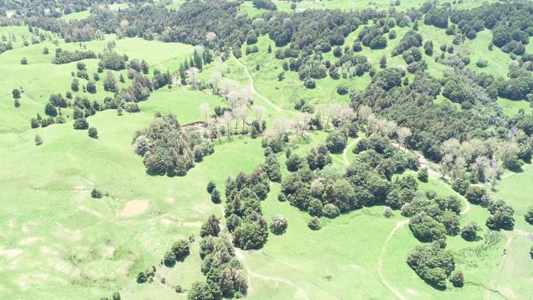 Irvine Road Ruatangata_9