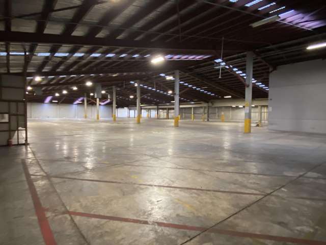 11 Mcdonald Street Morningside_4