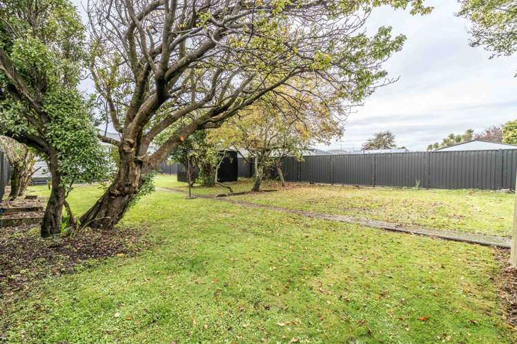 433 Tweed Street Georgetown_7