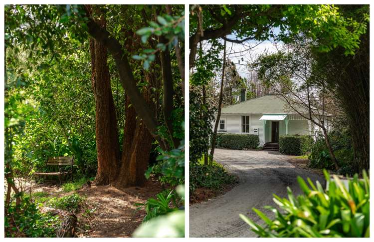 324 Youngson Road Whakamarama_17