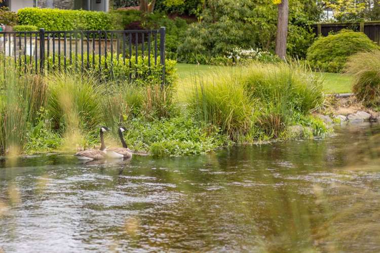 71b Fendalton Road Fendalton_10