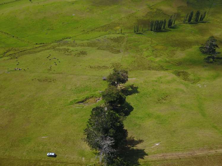 State Highway 10 Kaingaroa_13