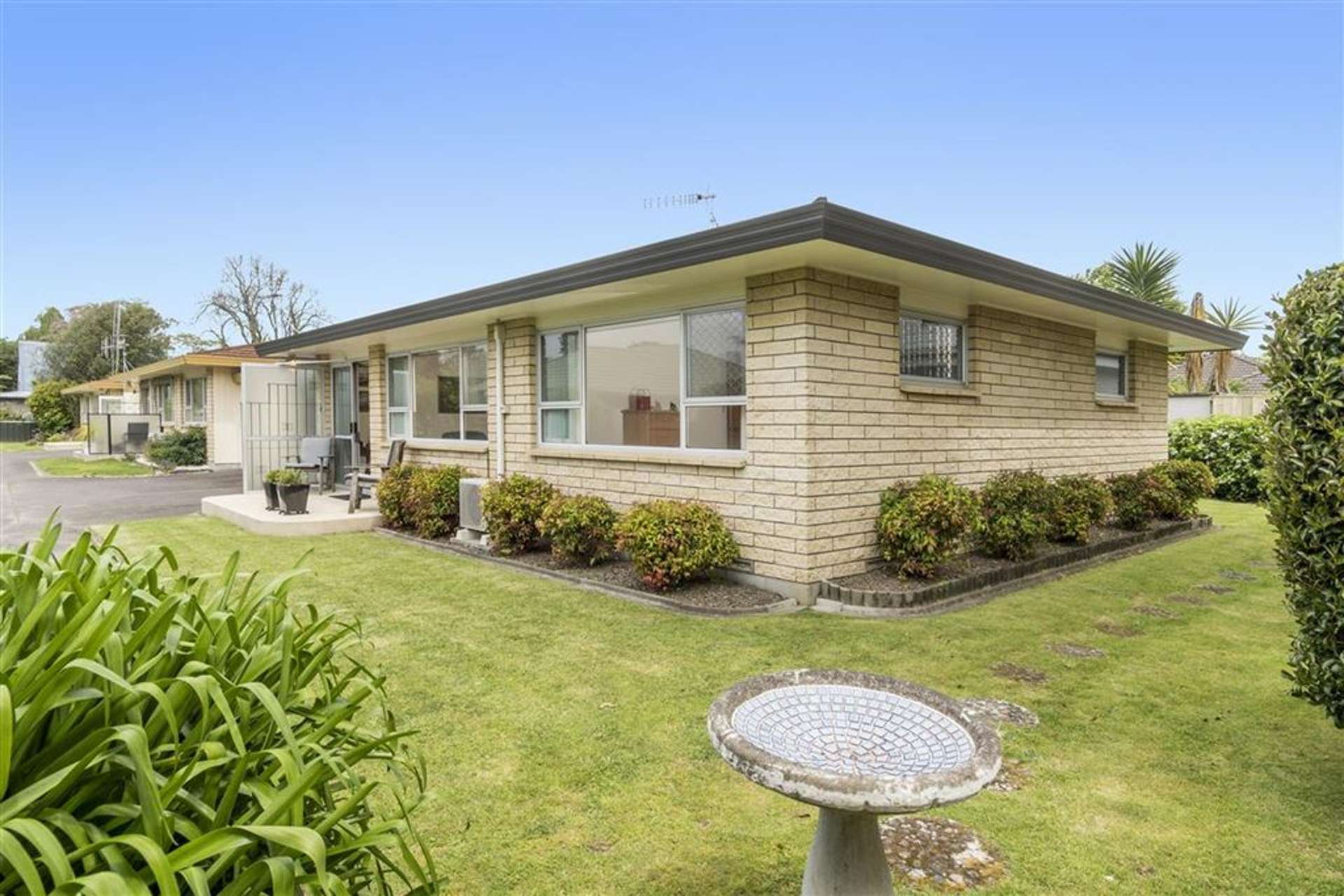 3/531 Devonport Road Tauranga South_0