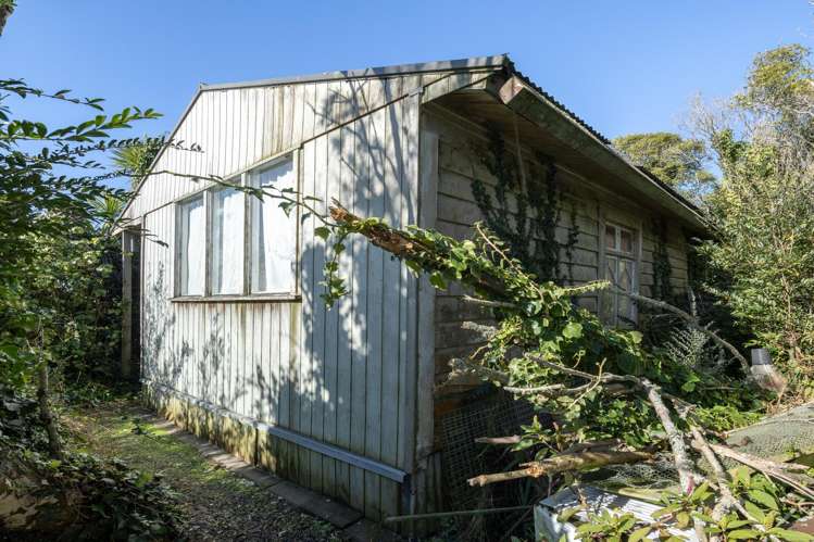 252 Whangamarino Road Te Kauwhata_23