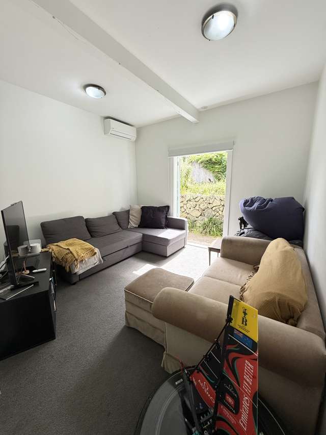 1 Sylvan Ave East Mt Eden_2