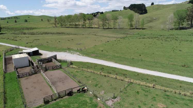 211 Parapara Road Taipa_14