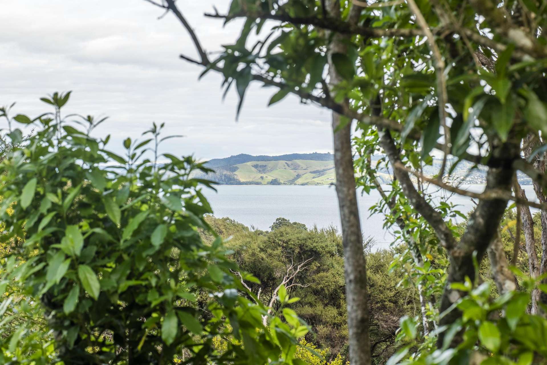 75 Fairview Crescent Omiha_0