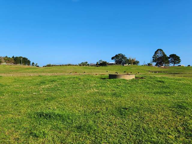 Pouto Road and Sarich Road Te Kopuru_3