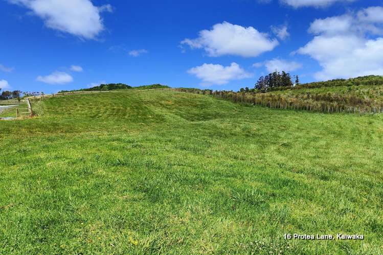 19 Protea Lane Kaiwaka_20