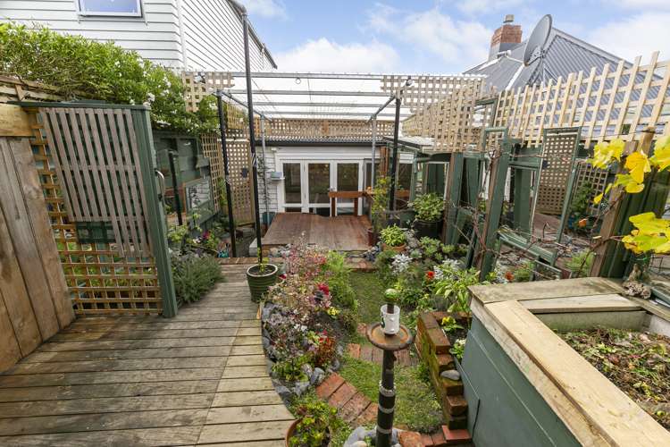 29 Douglas Street Mount Cook_8