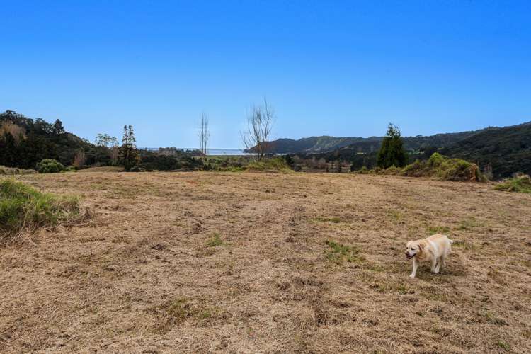 183 Wainui Road Opotiki Coastal_9
