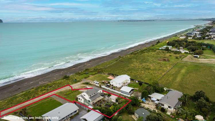 163 Whirinaki Road Eskdale_19