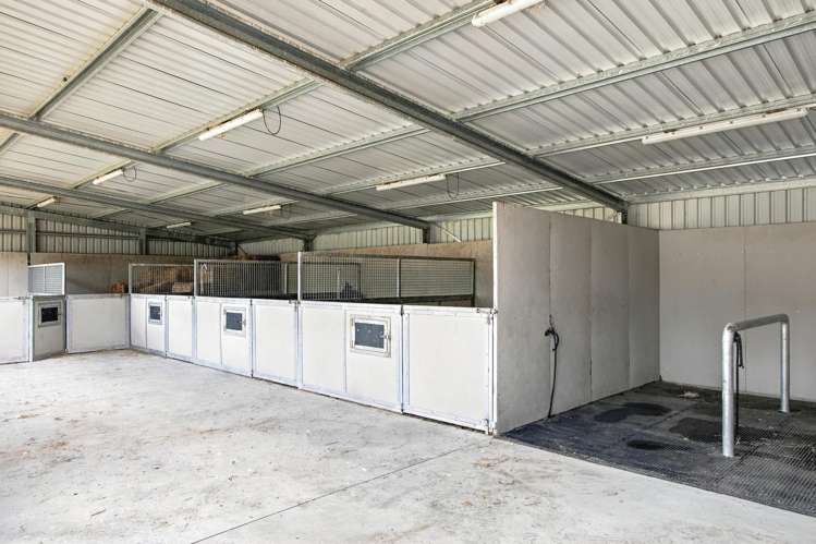 184 Butcher Road Reporoa_20