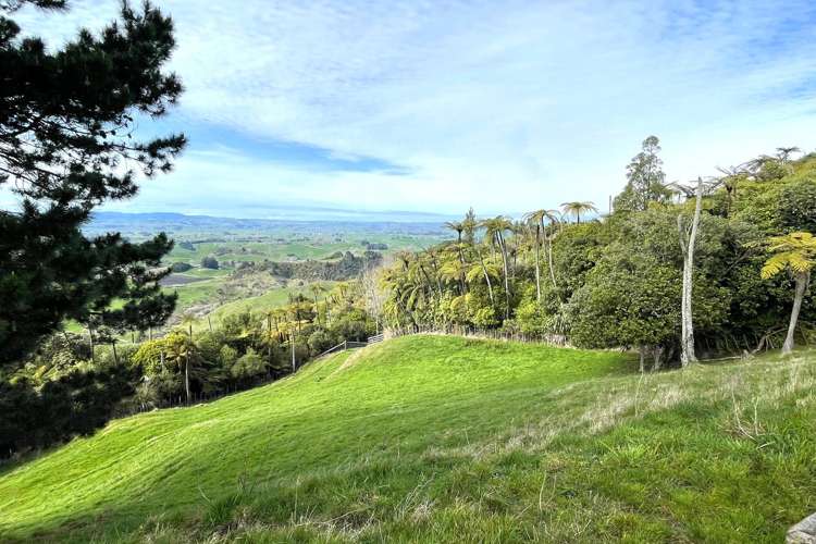 85 Te Raumauku Road Otorohanga_40