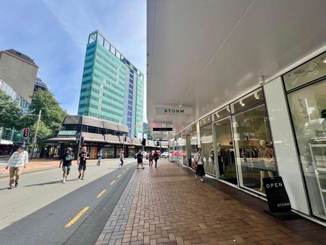 115 Victoria Street Te Aro_1