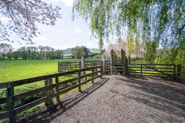 6/103 Maungakawa Road Cambridge_8