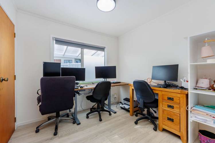 24 Squirrel Lane Browns Bay_14