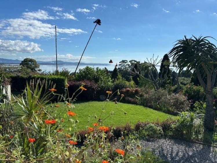 289A Pahoia Road Whakamarama_0