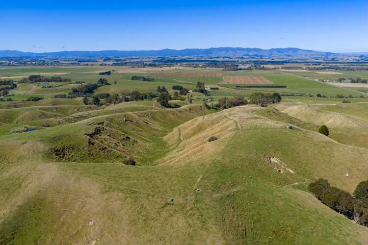 109A Junction Road Halcombe_15