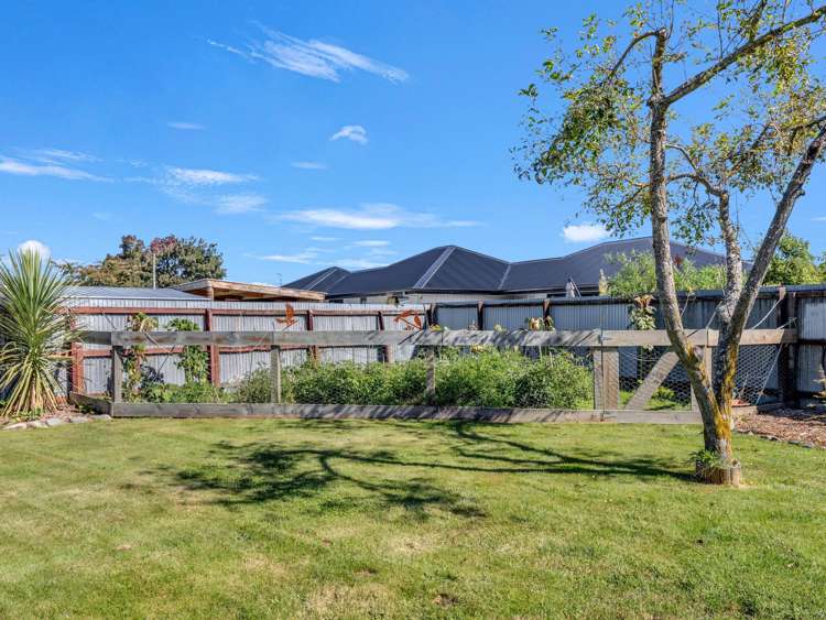 8 Andrew Street Allenton_21