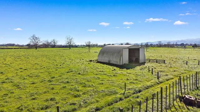 137 Seddon Road Morrinsville_2