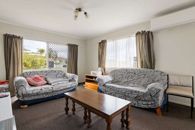 47 Rimu Street Maeroa_4