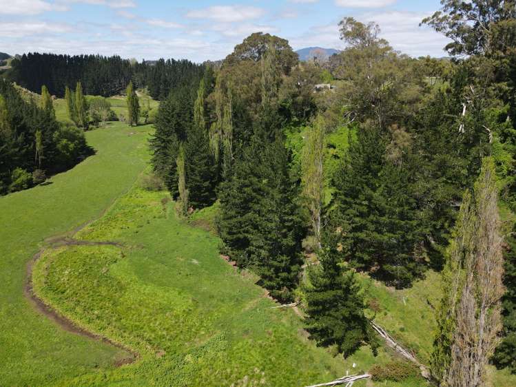 2/573 Tirau Road Cambridge_9