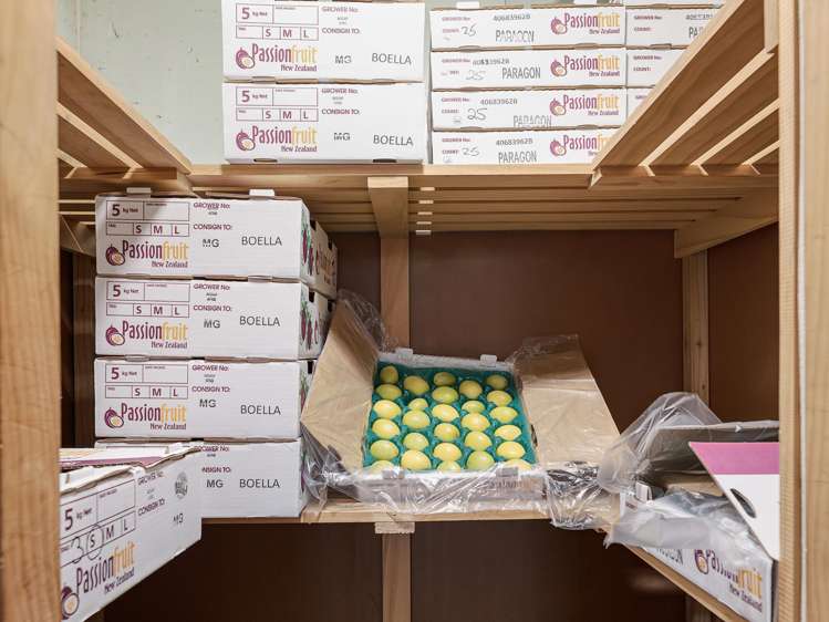 241 Rea Road Katikati_22