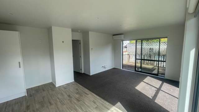 23A Tomo Street New Lynn_3