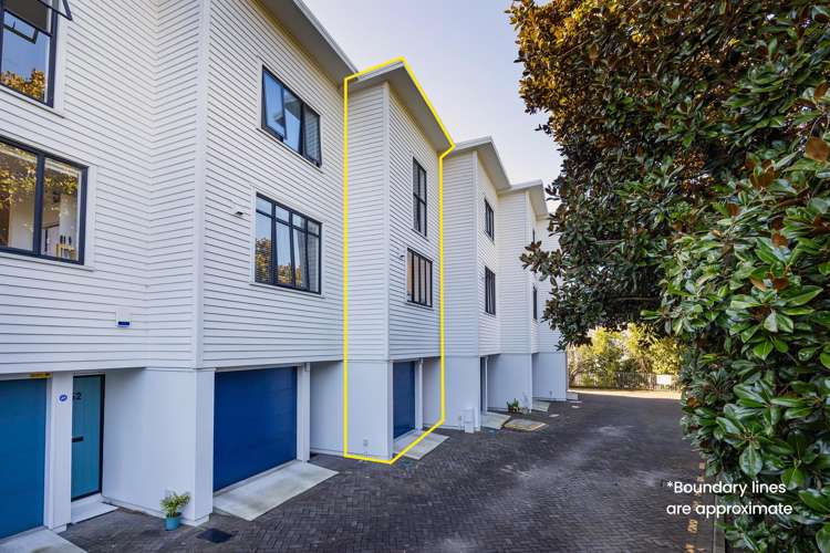 50/17 Lyon Avenue St Lukes_21