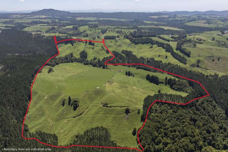 1707 Te Matai Road Te Puke_1