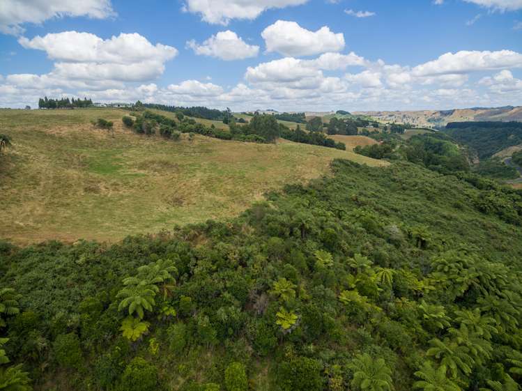 655 Rangitoto Road Te Kuiti_5