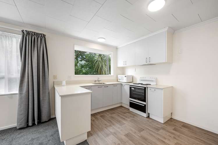 9a Lawrence Street Havelock_7