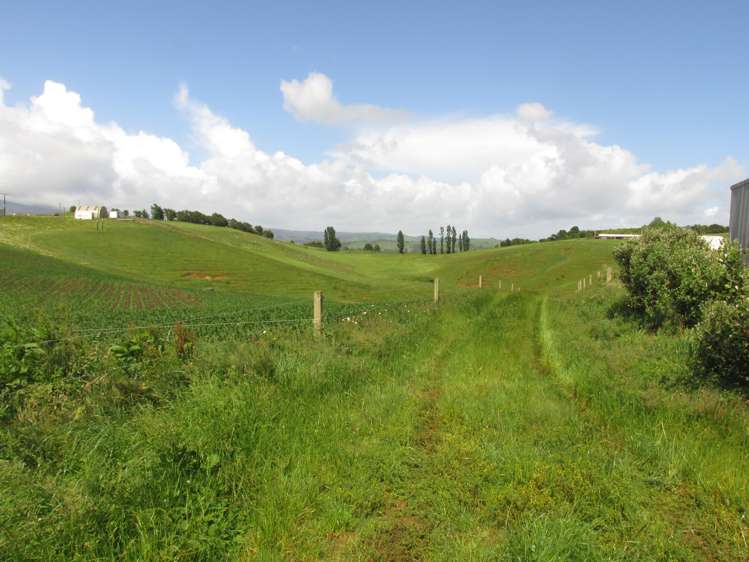 35 Grove Access Road Karamu_36