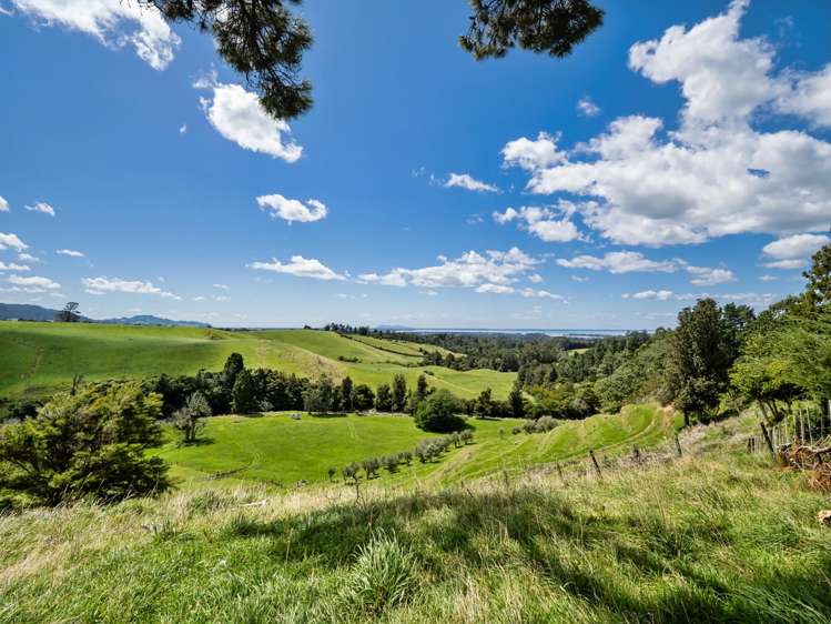 424A Hot Springs Road Katikati_33