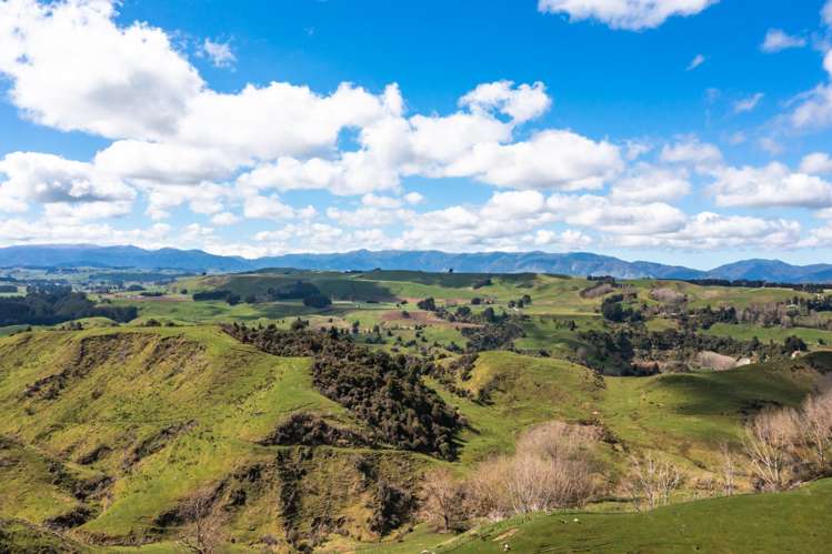 762 Rangiwahia Road Kimbolton_10
