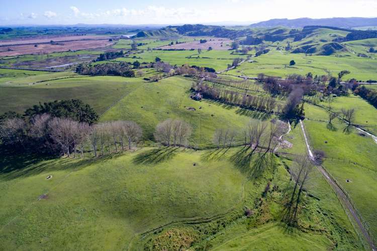 796 Waerenga Road Waerenga_20