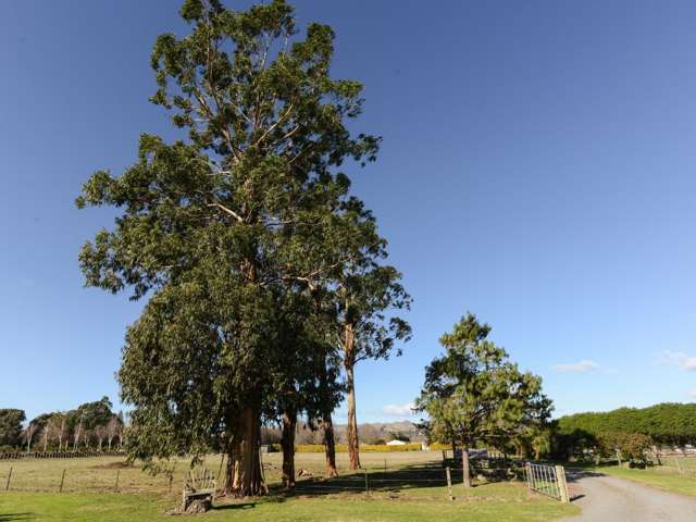 139 Havelock Road Havelock North_4