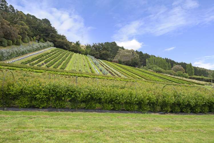 36A Horotane Valley Road Heathcote Valley_18