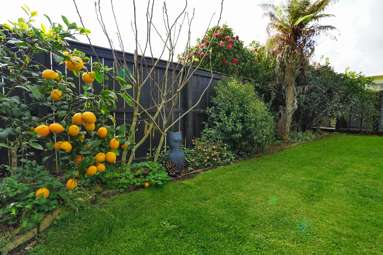 16B Cunningham Road_3