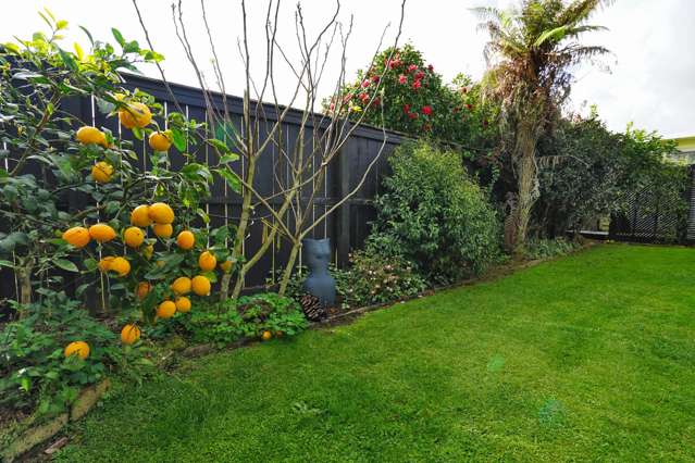 16B Cunningham Road Beerescourt_3