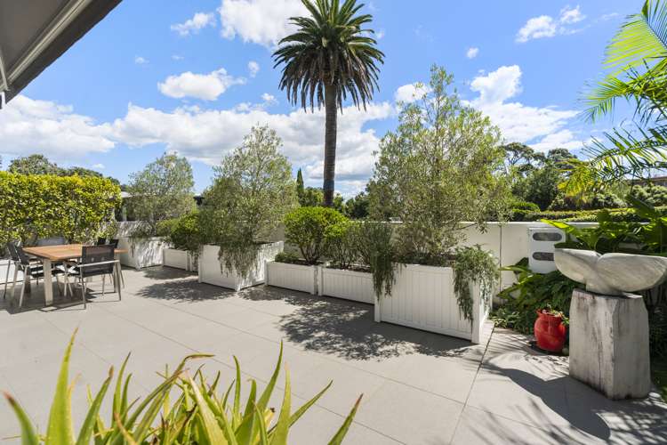 41b Selwyn Avenue Mission Bay_13