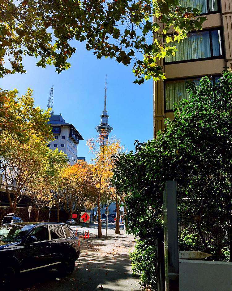 1405/106 Vincent Street Auckland Central_18