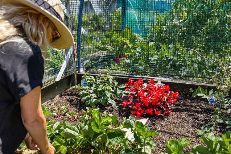 12 Parkside Drive Orewa_13