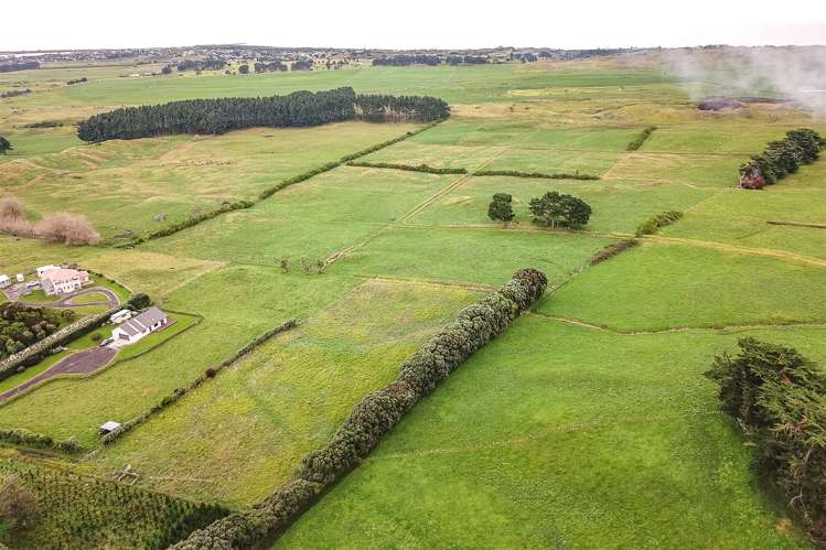 123 Seafield Road Westmere_7