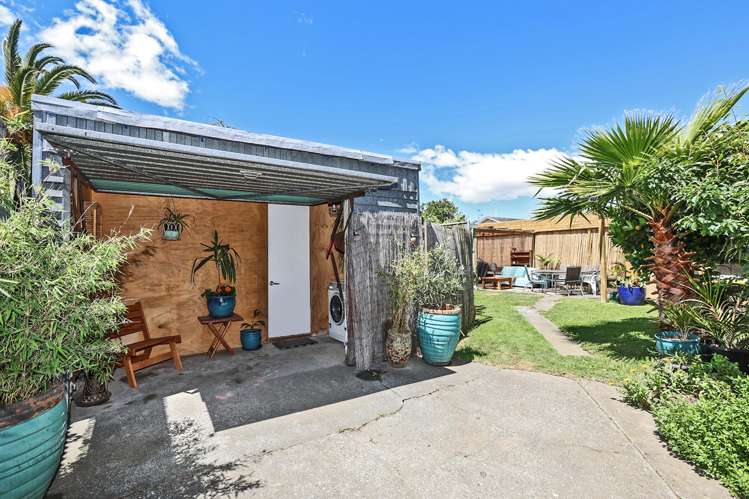 803 Tamatea Street Mahora_11