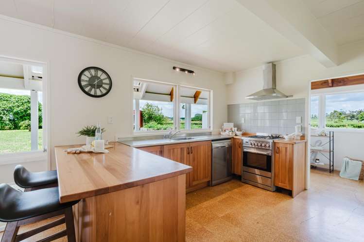 55 Boyd Road Gordonton_14